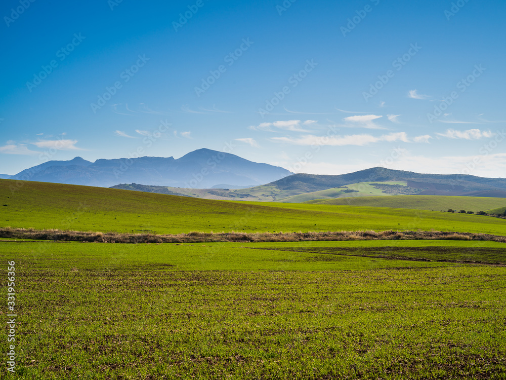 Beautiful landscape with green fields and mountains in Andalusia, Spain