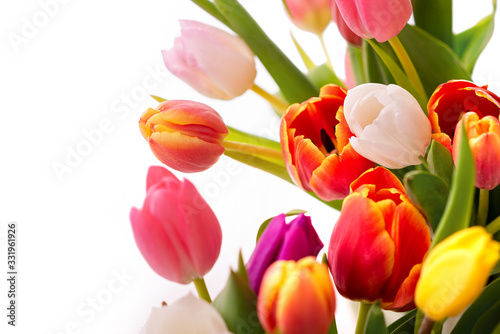 Multicolored tulips on a white background. Bouquet of spring flowers. Isolate on white background
