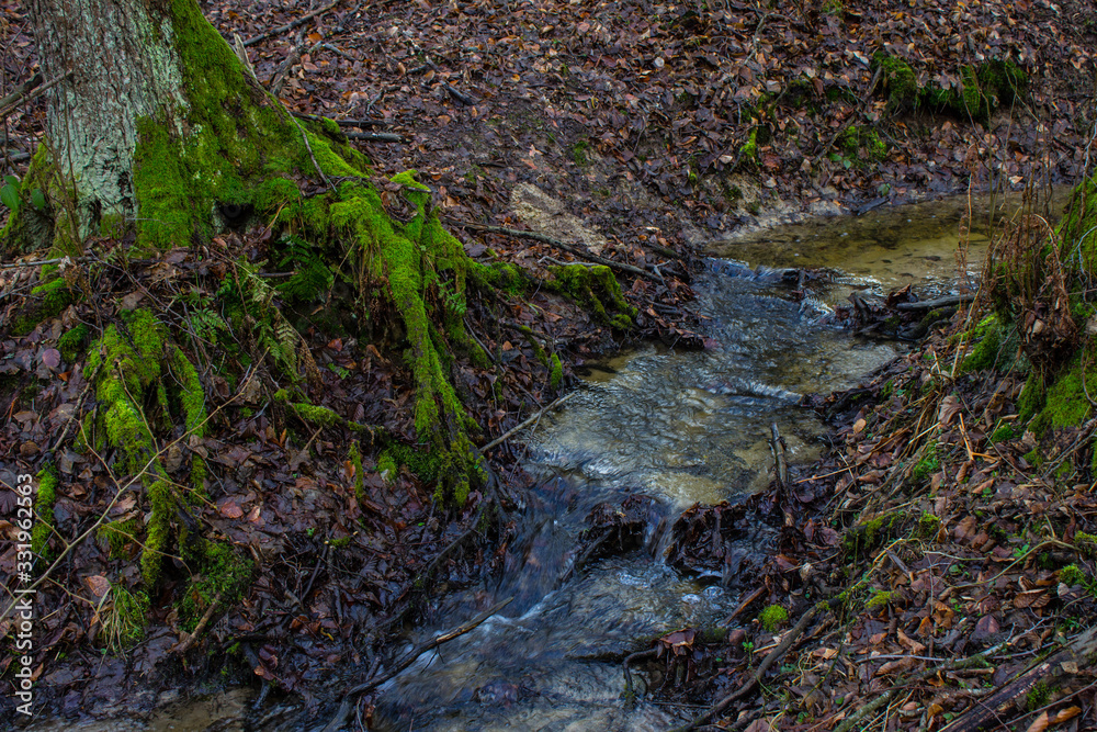 Beautiful creek in the forest. Fairy Stream. Background. Beautiful creek in the forest. Fairy Stream. Background.