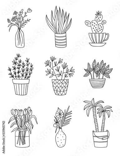 Set of house plants isolated. Vector outline sketch of plant in pot illustration. Indoor and office plants in pots linear sketch.