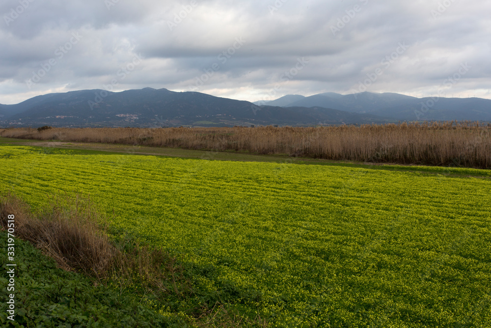 View of countryside in Sardinia during winter