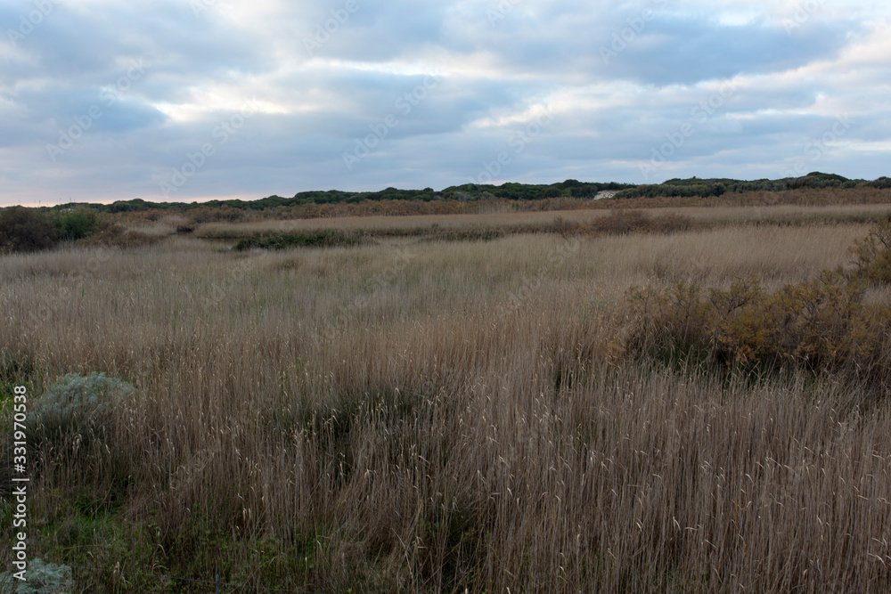 View of countryside in Sardinia during winter