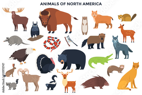 Vector Animals of North America photo