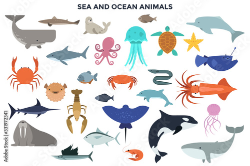 Vector Set of Water and Ocean Animals