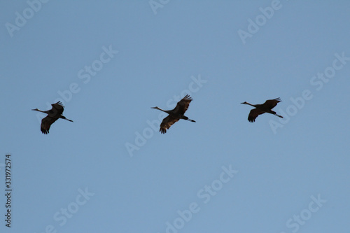 Three in Flight