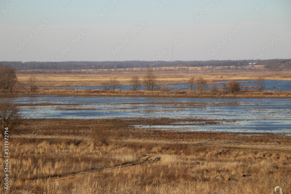 Winter Wetlands