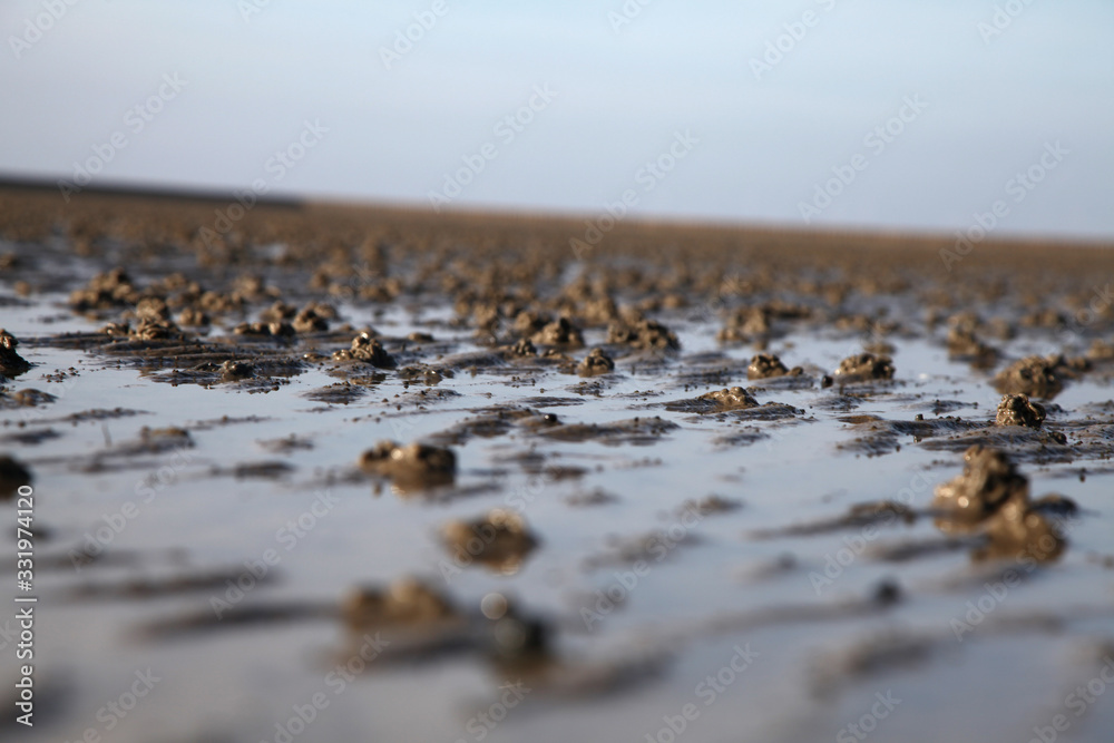 Wattwurm haufen, Wattenmeer, Nordsee Küste, Deutschland