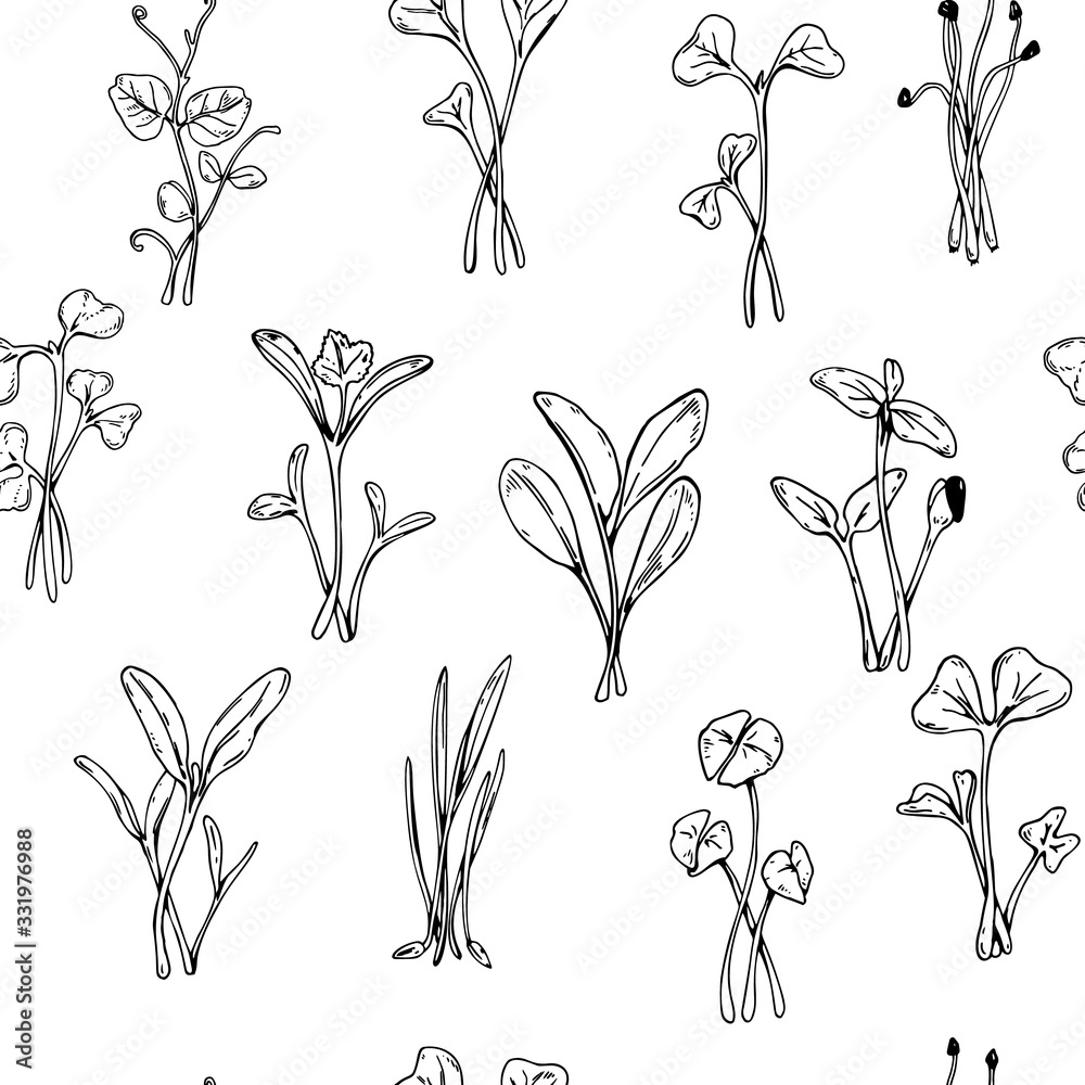 Hand drawn micro greens seamless pattern. Vector illustration in sketch style isolated on white background Hand drawn micro greens seamless pattern. Vector illustration in sketch style isolated on white background