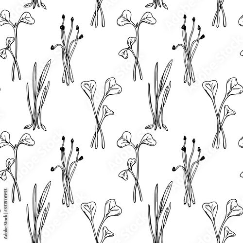 Fototapeta Naklejka Na Ścianę i Meble -  Hand drawn micro greens seamless pattern. Vector illustration in sketch style isolated on white background