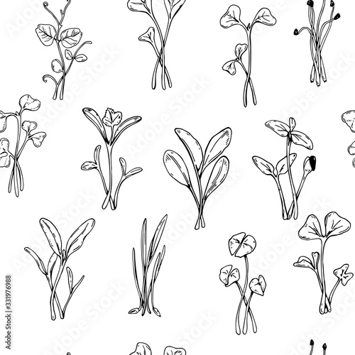 Hand drawn micro greens seamless pattern. Vector illustration in sketch style isolated on white background