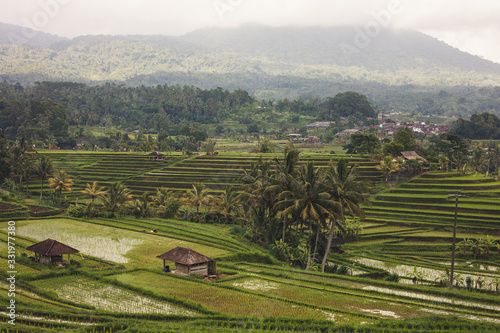 tegalalang green rice terraces bali unesco site indonesia