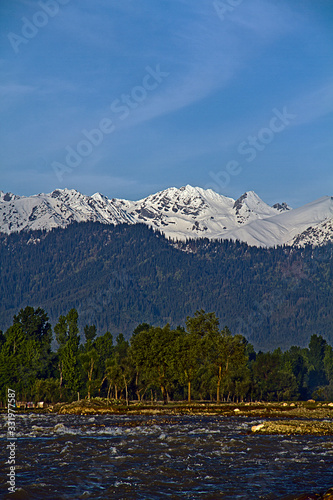 mountains with snow on top with river and forests in the foreground 