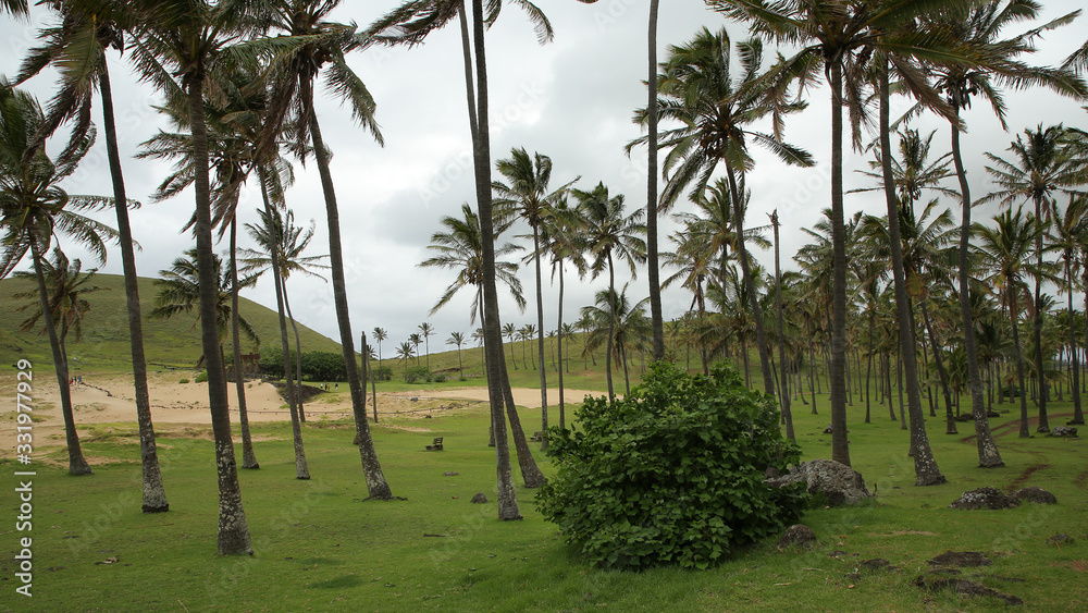 Fototapeta premium Playa de Anakena, Isla de Pascua, Chile