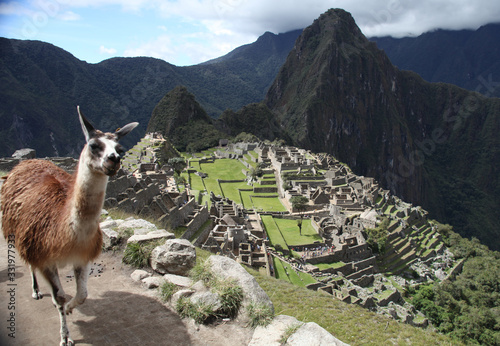 Machu Pichu view with smiling Llama looking straight at you