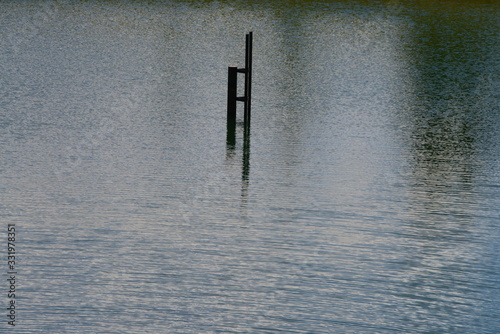 See