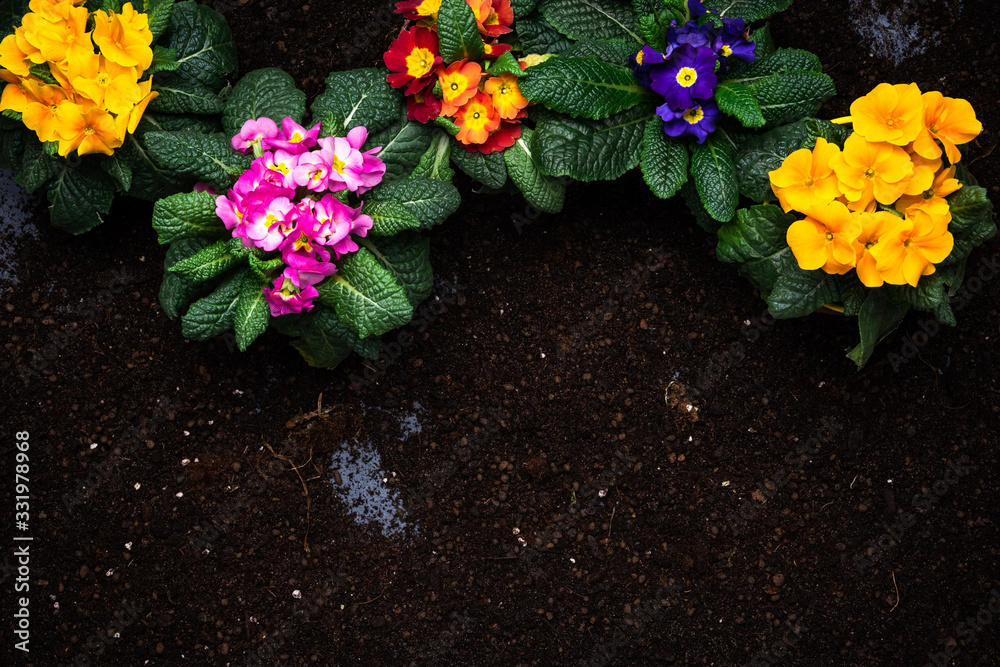 Fototapeta premium Gardening Activity, Hobby and Lesure at Early Spring in Garden. Copy Space Background