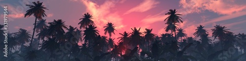 Palm trees against the sky, beautiful sky with clouds and palm trees, sunset ...