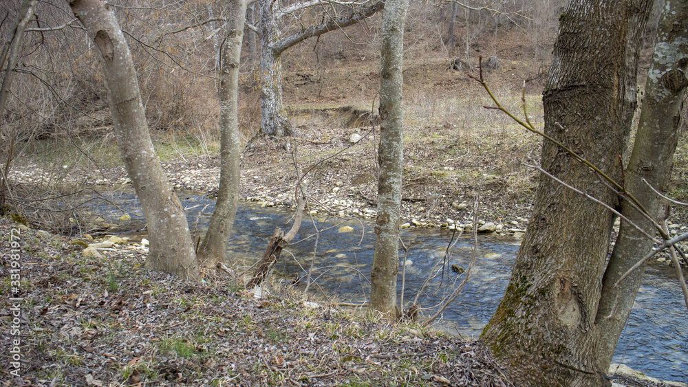 Trees near river in Medven located in South-East Bulgaria. In the park there is the famous waterfall Trees near river in Medven located in South-East Bulgaria. In the park there is the famous waterfall