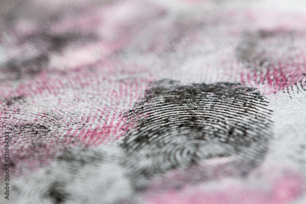 fingerprints on a white background fingerprints on a white background