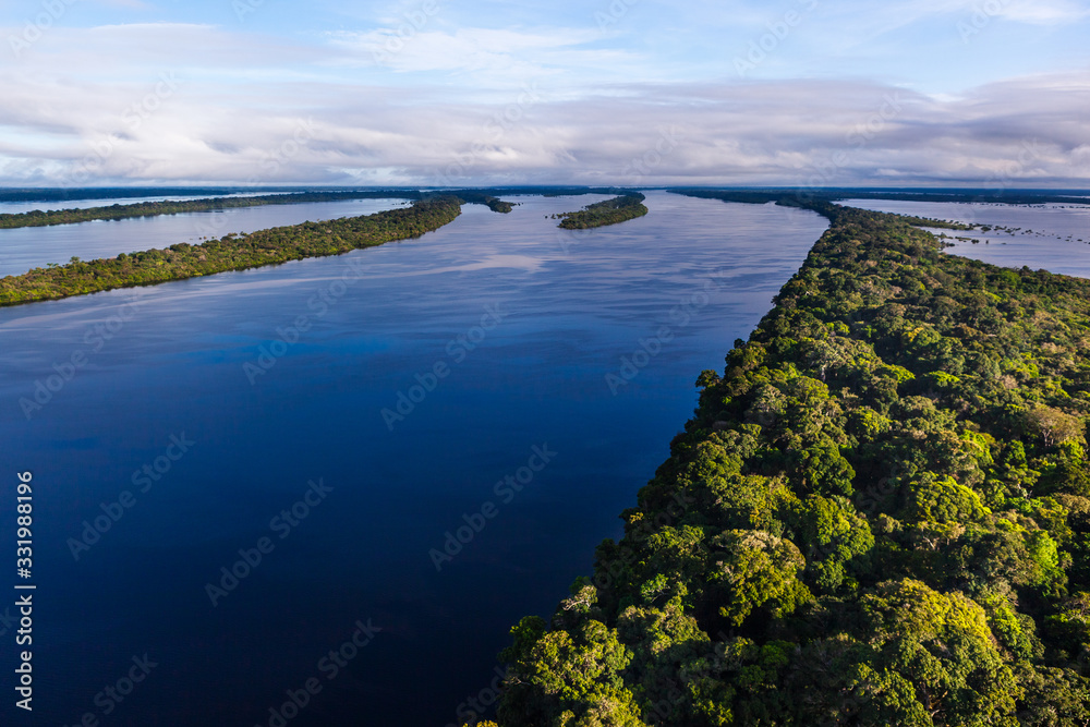 Images of trees submerged in the river, taken during a helicopter flight over the Amazon rainforest in the Anavilhanas archipelago.