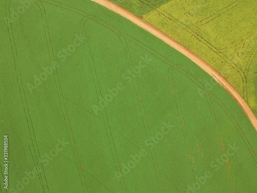 Aerial photo taken with drone of three soybean and corn crops with different green colors