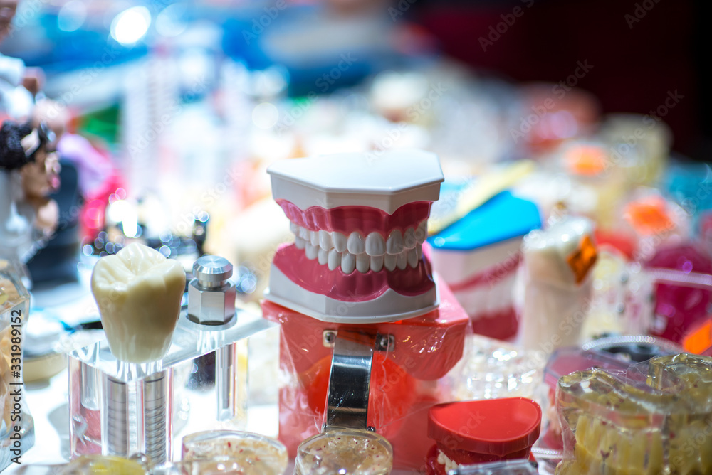 Dentures, a model of the teeth, jaw model for studying dentistry on the background of artificial teeth