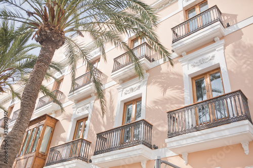 Ibiza - L'hôtel et le palmier
