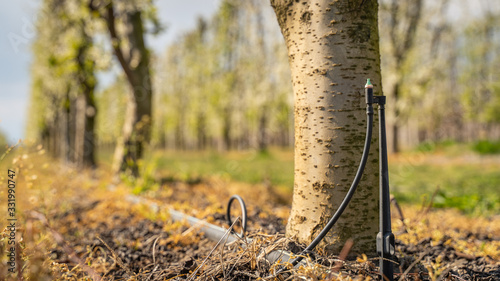watering rain trees net with nozzle