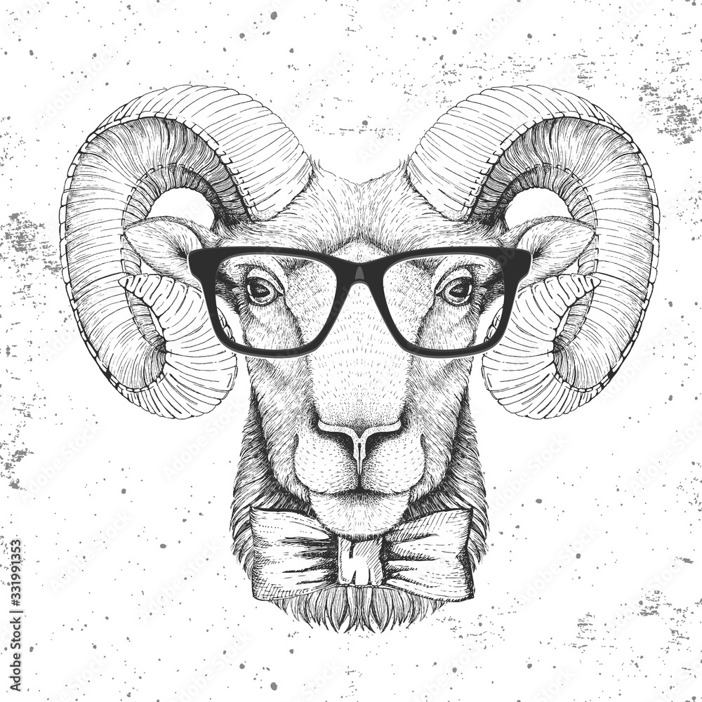 Hipster animal head of ram or mouflon. Hand drawing Muzzle of ram Stock  Vector | Adobe Stock