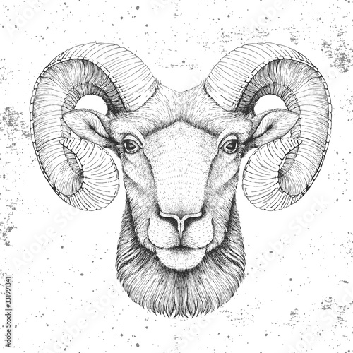 Hipster animal head of ram or mouflon. Hand drawing Muzzle of ram