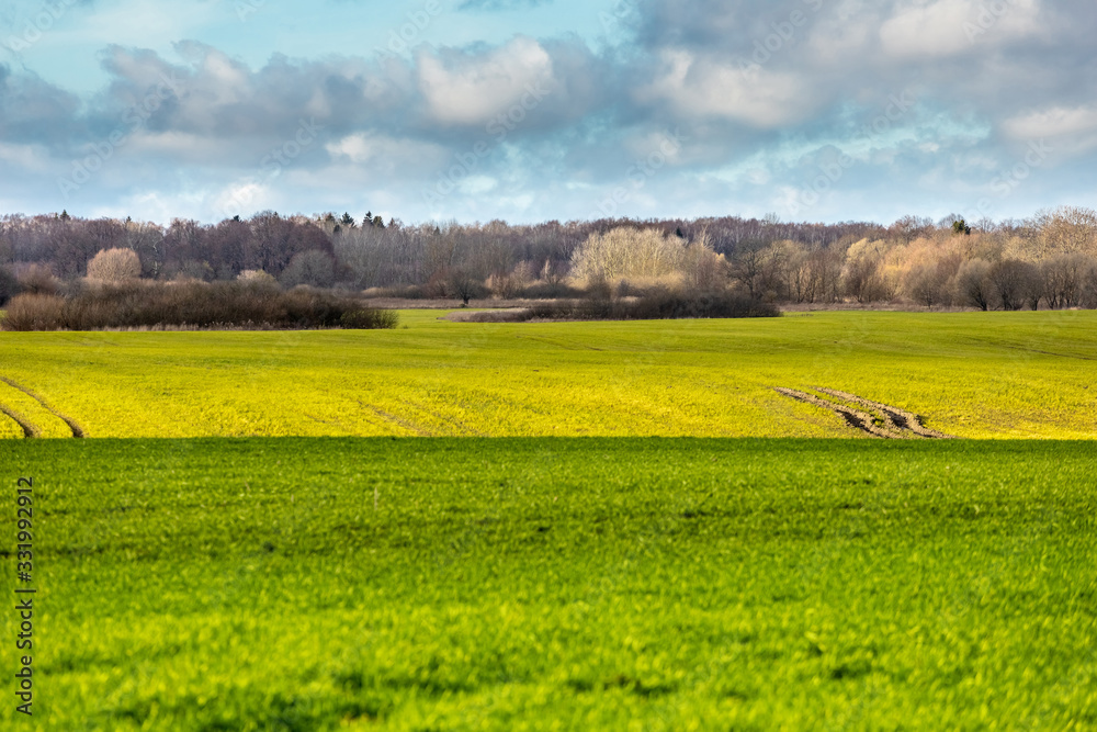 landscape photo of a green wide field under a bright blue sky with clouds