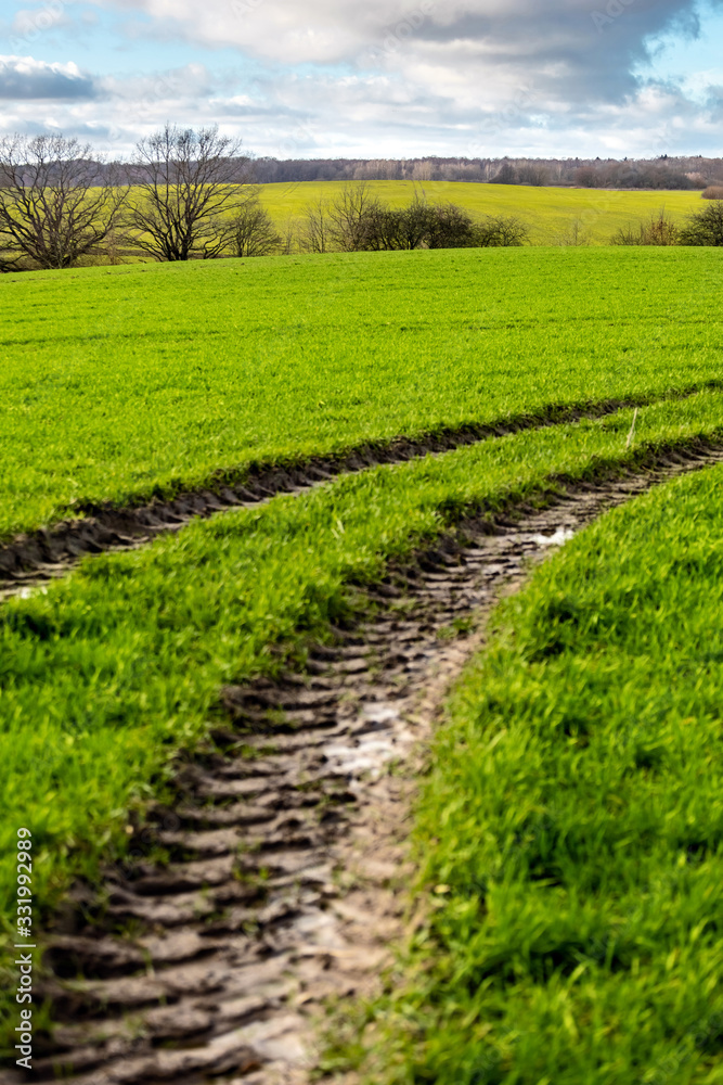 landscape of green wide field with tire tracks
