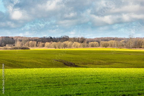 landscape photo of a green wide field under a bright blue sky with clouds © Sergey