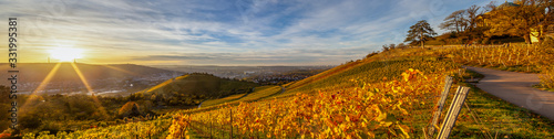 Autumn sunset view of Stuttgart sykline overlooking the colorful vineyards. The iconic Fernsehturm as well as the soccer stadium are visible. The sun is about ot set over the Neckar Valley. photo