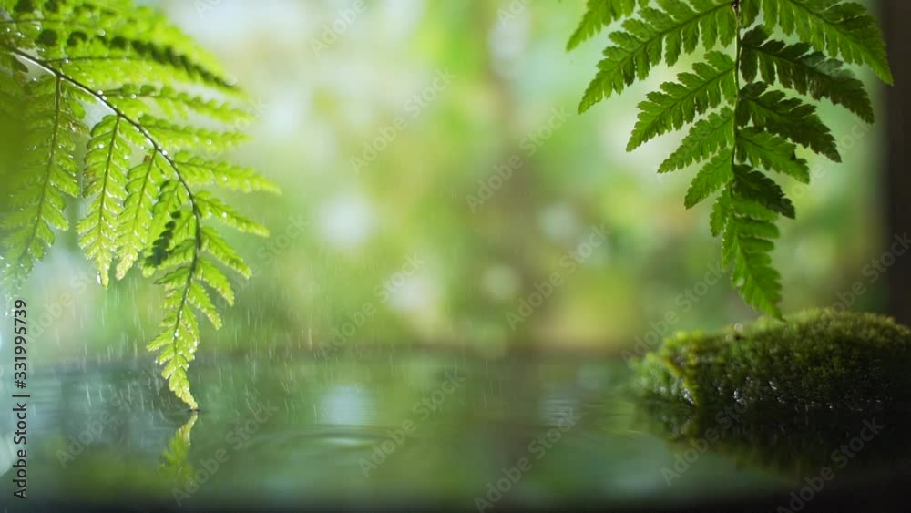 light rain on a background of palm trees and rain forest. Meditation and yoga are in harmony with nature. Tropical Sandy Beach, Summer Holiday Background. Travel Vacation, Empty Copy Space for Text 