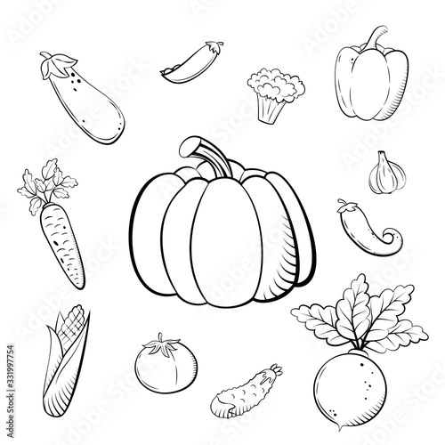 Hand drawn sketch set vegetables. Organic vegetarian food