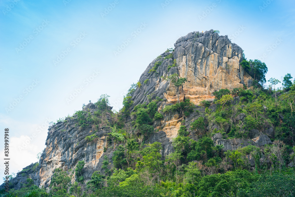 Rock mountain and forest landscape