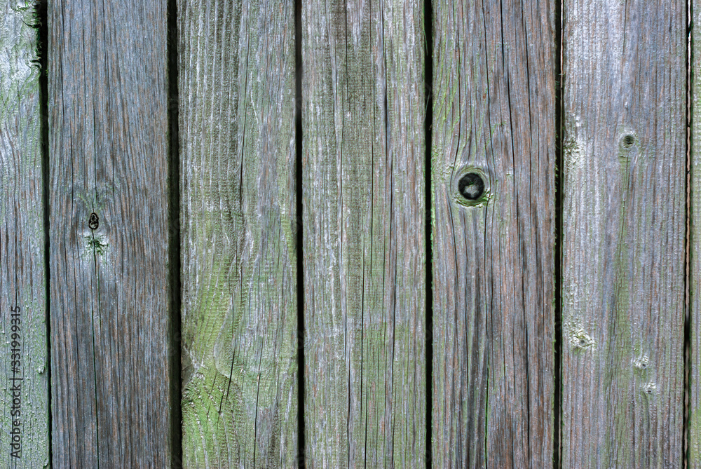 Fototapeta premium Old fence made of wooden planks, in the style of rustic, grunge, old fashion, worn gray-green color with nails