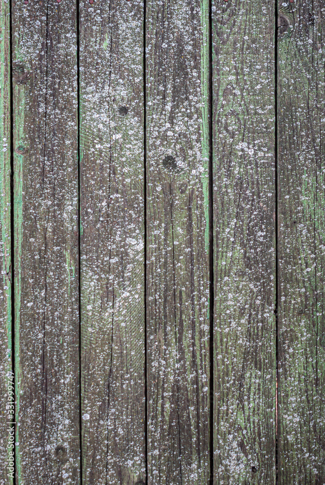 Fototapeta premium Old fence made of wooden planks, in the style of rustic, grunge, old fashion, worn gray-green color with nails