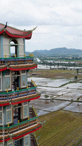 Temple et rizi  re