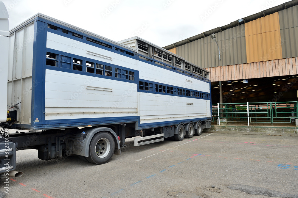 Camion de transport d'animaux à double étage
