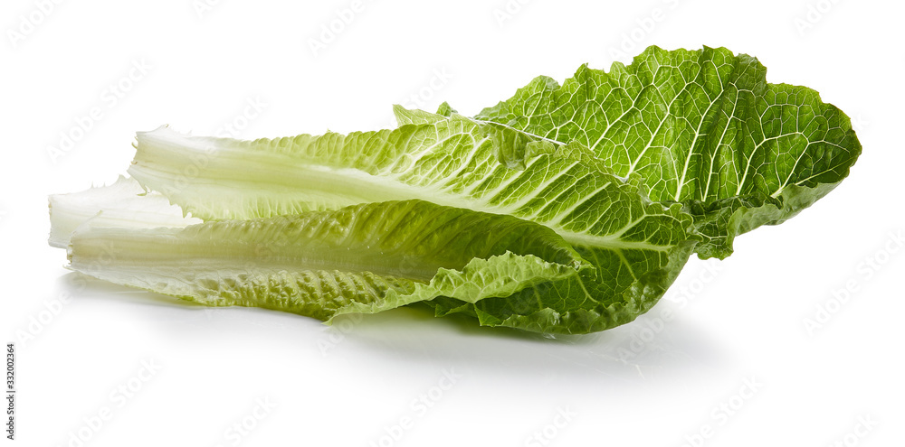Romain Lettuce Isolated on White Background Romain Lettuce Isolated on White Background
