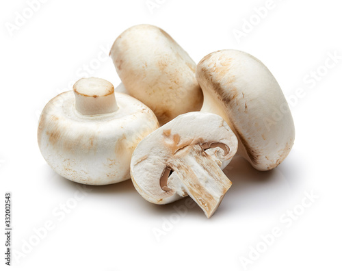 Mushroom Isolated on White Background