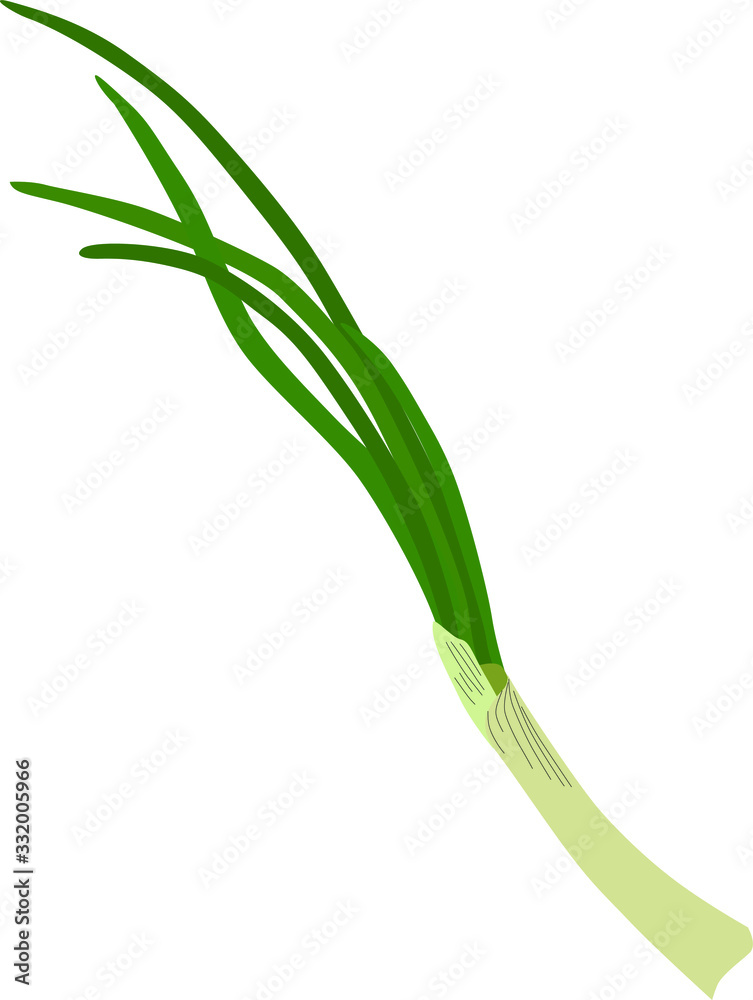 Vector illustration of logo for onion with green stem on white background. Healthy food concept. Vector illustration of logo for onion with green stem on white background. Healthy food concept.