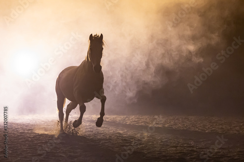 Silhouette of a galloping Andalusian horse running towards the camera in a orange smokey atmosphere, against the light with smoke and a bright lamp