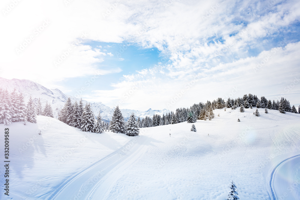 Winter fir and pine forest covered with snow after strong snowfall over mountains on background on sunny frosty day