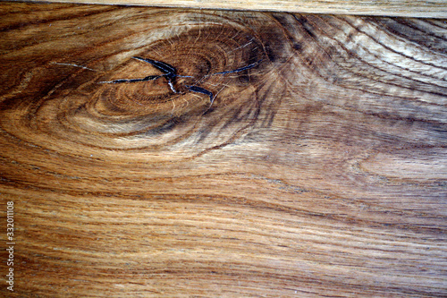holz eiche maserung