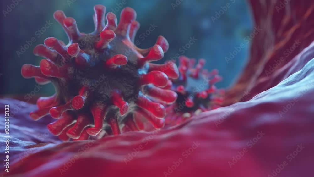 Coronavirus covid -19 virus infection inside a healthy body close up 3d Render Animation Alpha