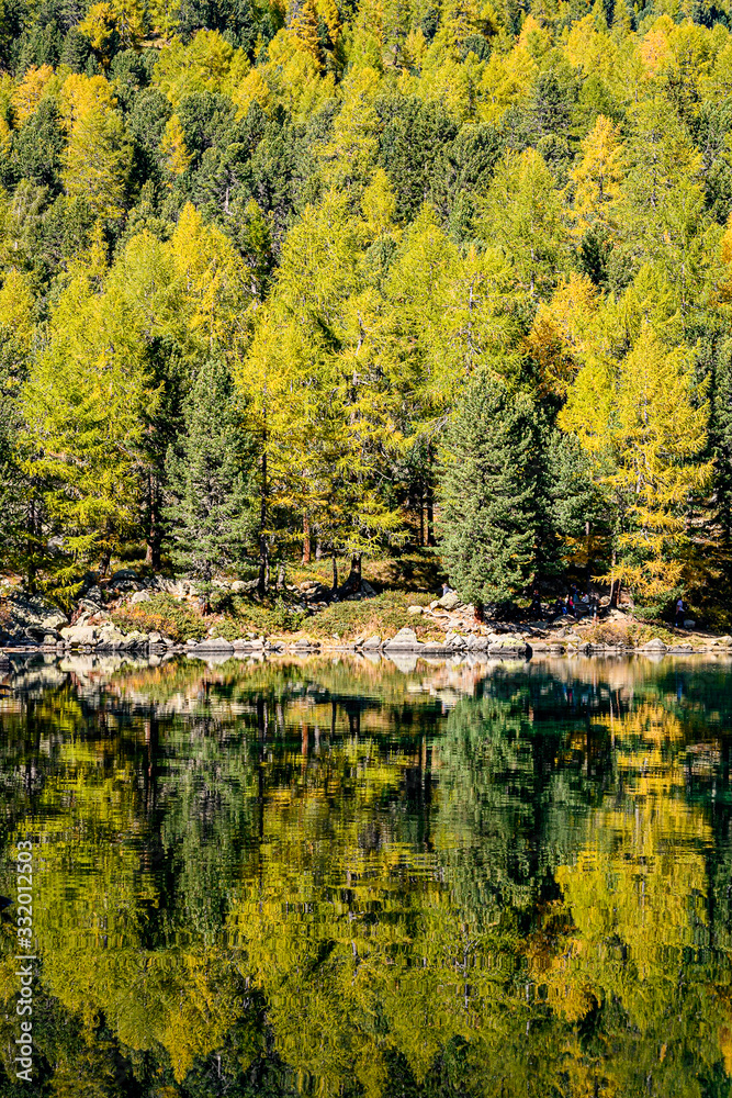 Obraz premium herbst