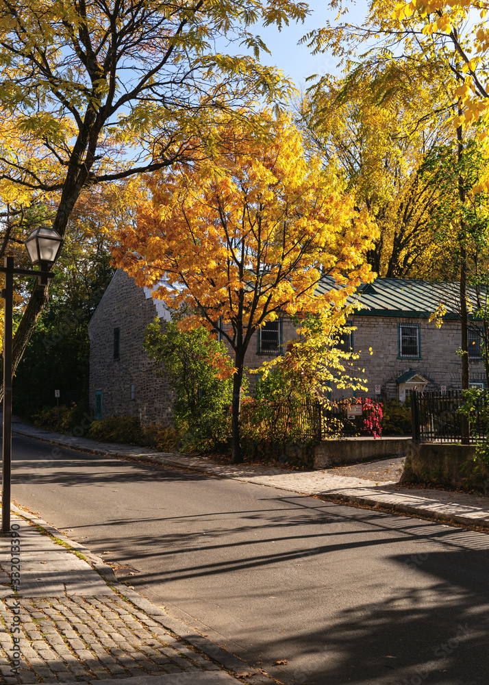 Quebec city street in the fall